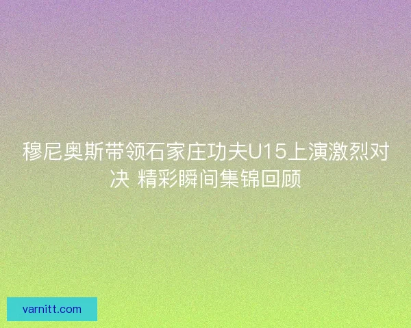 穆尼奥斯带领石家庄功夫U15上演激烈对决 精彩瞬间集锦回顾