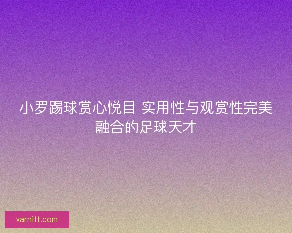 小罗踢球赏心悦目 实用性与观赏性完美融合的足球天才